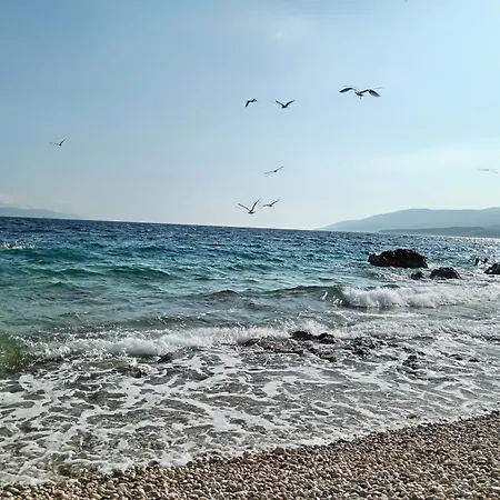 Zahtila - Berto *