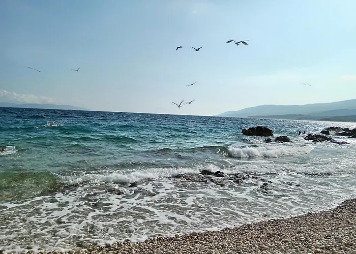 Zahtila - Berto *